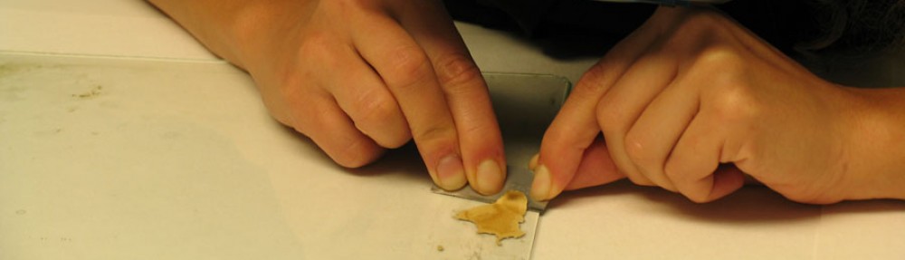 Close-up image showing Lisa Duncan's hands conserving the back of an artwork on paper.